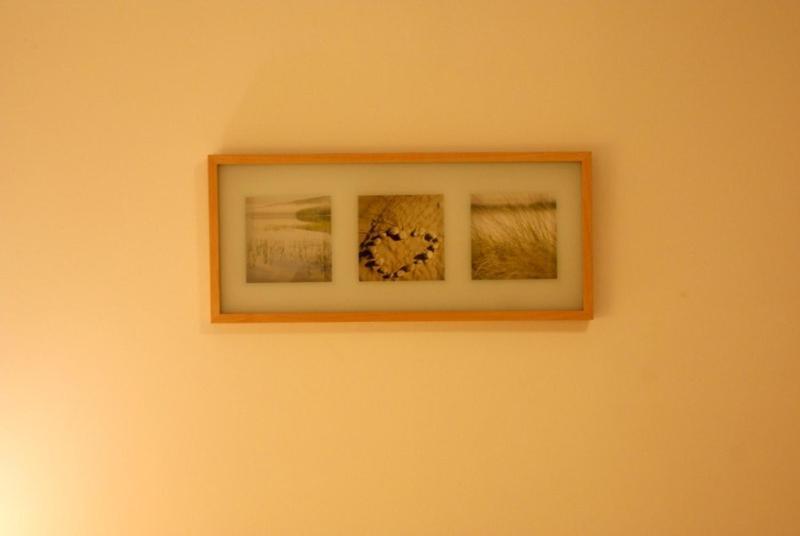 Dandelion Noclegi Warsawa Ruang foto
